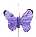 Floristik24 Butterfly 5cm rosa-lilla ass. 24stk