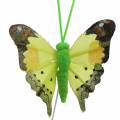 Floristik24 Dekorativ sommerfugl med tråd sortert 5cm 24stk