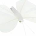 Floristik24 Fjærsommerfugl på klips hvit 7-8cm 8stk