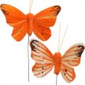 Floristik24 Dekorative sommerfugler, blomsterplugger, vårsommerfugler på ledning gul, oransje 4×6,5cm 12stk