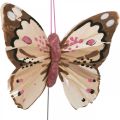 Floristik24 Fjærsommerfugler, dekorative sommerfugler på pinne, blomsterplugger rosa, oransje, fiolett, brun, blå, beige 6×8cm 12stk