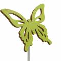 Floristik24 Blomsterknagger sommerfuglved 7x5,5cm 12stk assortert