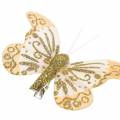 Floristik24 Fjær sommerfugl på klipp gull glitter 10stk