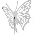 Floristik24 Blomsterplugg sommerfugl, hagedekor i metall, planteplugg shabby chic hvit, sølv L51cm 3stk