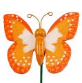 Floristik24 Dekorativ plugg sommerfugl oransje 6,5 cm 24stk