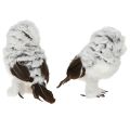 Snøugle dekorativ figur, uglepar, hvit og brun, 12 cm høy, 2 deler | Floristik24.no
