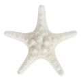 Sjøstjerne 9cm - 11cm hvit 20stk