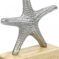 Floristik24 Metall sjøstjerner, maritim dekorasjon, dekorativ skulptur sølv, naturlige farger H18cm