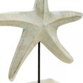 Floristik24 Sjøstjerner laget av tre, dekorativ skulptur maritim, sjødekorasjon naturlige farger, hvit H28cm