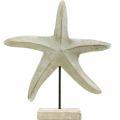 Floristik24 Sjøstjerner laget av tre, dekorativ skulptur maritim, sjødekorasjon naturlige farger, hvit H28cm