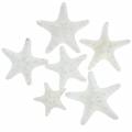 Floristik24 Knotter sjøstjerner hvit 30stk