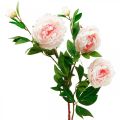 Floristik24 Silkeblomstpion kunstig lys rosa, hvit 135cm