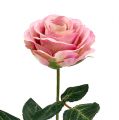 Floristik24 Silkeblomster rose Ø7cm L37cm gammelrosa 6stk