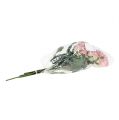 Floristik24 Silkeblomster rose Ø7cm L37cm gammelrosa 6stk