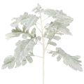 Floristik24 Kunstig Senecio-gren, sølvblad, intrikat utformet, 45 cm, 3 stk.