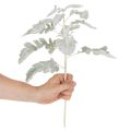 Kunstig Senecio-gren, sølvblad, intrikat utformet, 45 cm, 3 stk. | Floristik24.no