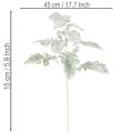 Kunstig Senecio-gren, sølvblad, intrikat utformet, 45 cm, 3 stk. | Floristik24.no