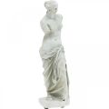 Floristik24 Venus statue dekorativ skulptur H29cm gråbrun dekorativ figurhage