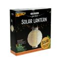 Floristik24 Lantern LED med solcelle 20cm hvit