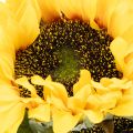 Kunstig solsikke med realistiske blader og blomster, 58 cm, 3 stk. | Floristik24.no