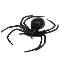 Floristik24 Spider black 16cm med glimmer
