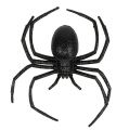 Floristik24 Spider black 16cm med glimmer