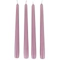 Floristik24 Koniske lys Wenzellys syrin 250/23mm 12 stk