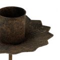 Konisk lysestake for innsetting Ø7cm rust 4stk | Floristik24.no