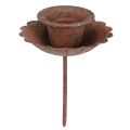 Floristik24 Pinnelysholder for plugging i rustlook Ø8,5cm H4cm 4stk