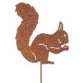 Floristik24 Hagepike ekorn rust dekorativ pinne til blomsterbed og blomsterpotte 52 cm 2 stk
