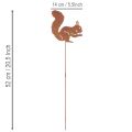 Hagepike ekorn rust dekorativ pinne til blomsterbed og blomsterpotte 52 cm 2 stk | Floristik24.no