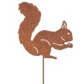 Hagepike ekorn rust dekorativ pinne til blomsterbed og blomsterpotte 52 cm 2 stk | Floristik24.no