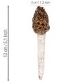 Kunstig morkelsopp dekorativ stag til blomsterpotter og bord, 13 cm, 2 stk. | Floristik24.no