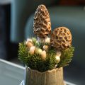 Kunstig morkelsopp dekorativ stag til blomsterpotter og bord, 13 cm, 2 stk. | Floristik24.no
