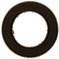 Floristik24 Blomsterskumring OASIS® Renewal® Blomsterskum Biolit® 45 cm 2 stk