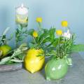 Floristik24 Fajanse vase lime grønn 10cm