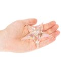 Dekorative stjernepynt, iriserende klar akryl, juletrepynt, 9 cm, 6 stk. | Floristik24.no
