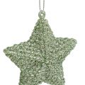 Floristik24 Stjerne med glimmer mintgrønn 7,5 cm 12stk