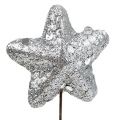 Floristik24 Stjerne med glitter sølv 3,5 cm 12stk