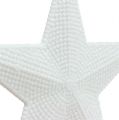 Floristik24 Stjerne til å henge hvit 11cm L19cm 6stk