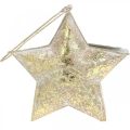 Floristik24 Dekorativt stjernemetall for oppheng og dekorering Gylden Ø13cm