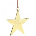Floristik24 Gullstjerne, adventsdekorasjon, pynteanheng til jul 12×13cm 2stk