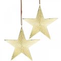Floristik24 Gullstjerne, adventsdekorasjon, pynteanheng til jul 12×13cm 2stk