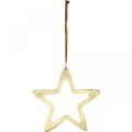 Floristik24 Julevedheng, stjernedekorasjon til advent, dekorasjonsstjerne gyllen 14 × 14cm