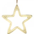 Floristik24 Julevedheng, stjernedekorasjon til advent, dekorasjonsstjerne gyllen 14 × 14cm