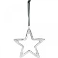 Floristik24 Metallstjerne til å henge, adventsdekorasjon, juleanheng sølv 14 × 14cm
