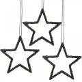 Floristik24 Julepynt stjerneheng svart glitter 7,5cm 40p