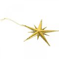 Floristik24 Julepynt stjerneheng gylden B11,5cm 16stk