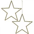 Floristik24 Julepynt stjerneheng gylden glitter 12cm 12stk