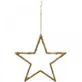 Floristik24 Glitterstjerner, adventspynt, stjernepynt til å henge, julepynt gylden 11,5 × 12cm 12stk